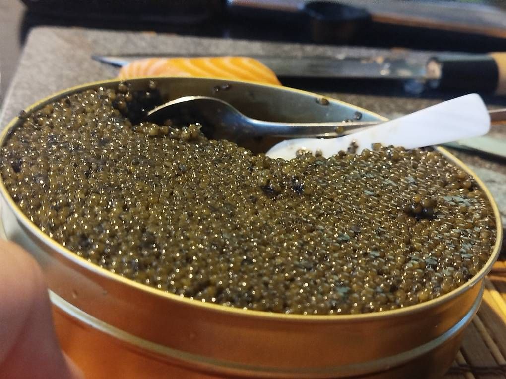 Kit di modellismo & Modellini statici: Beluga Caviar  – Usato da Rupperswil venduto da Viland_Dann 1