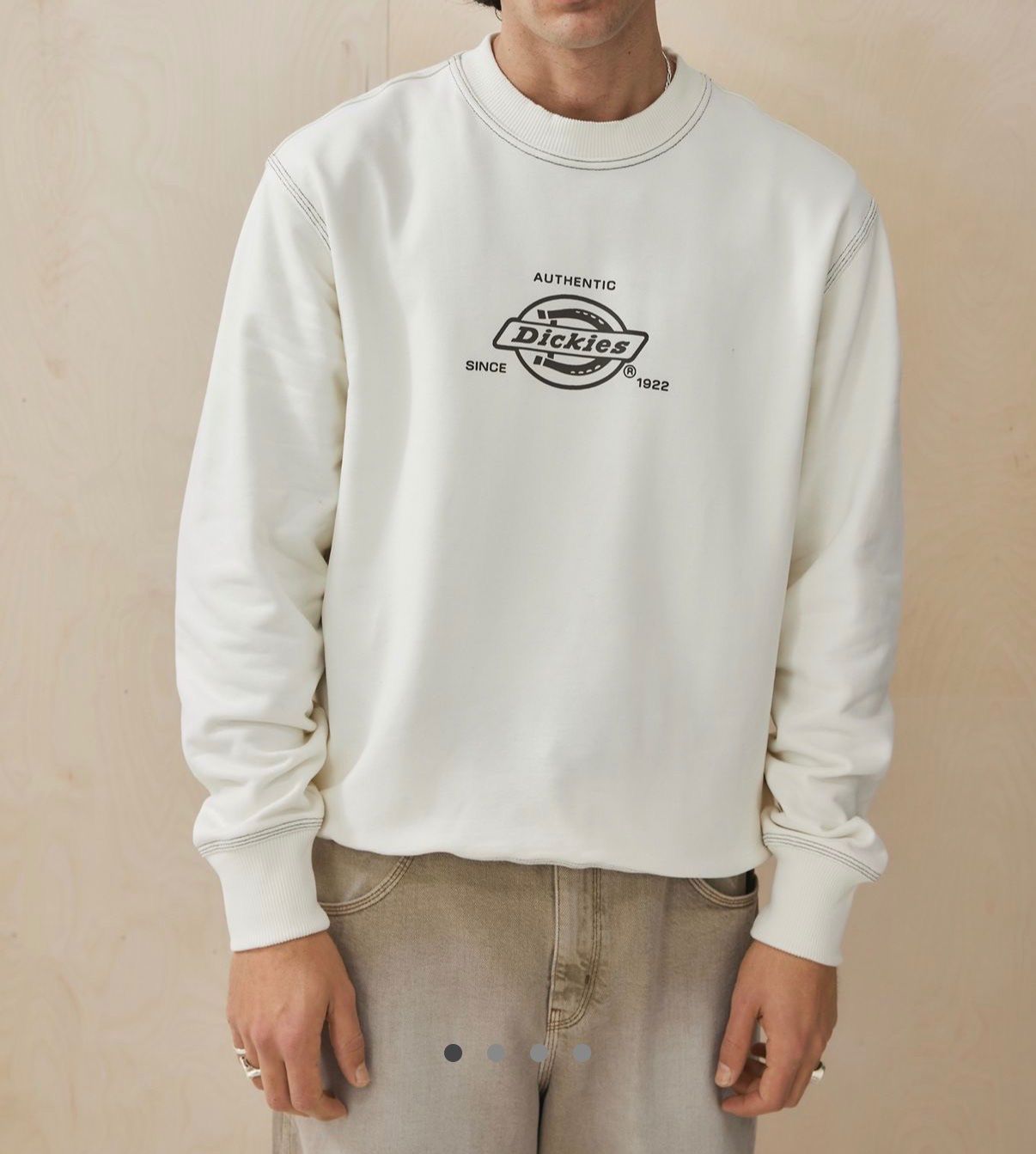 Dickies Maglioni & Felpe: Sweatshirt Pulli Dickies Weiss Grösse L – Nuovo (secondo la descrizione) da Allschwil venduto da GrenzWert