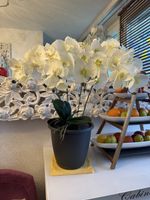 Künstliche Orchideen weis, New