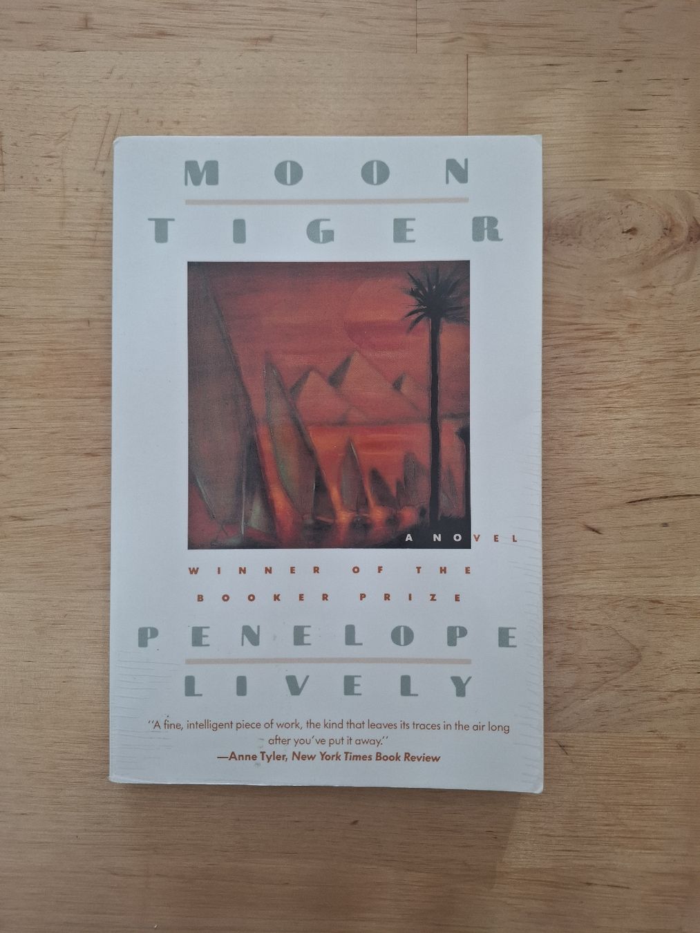 Libri: Penelope Lively - Moon Tiger - Roman  – Nuovo (secondo la descrizione) da Brig venduto da Tucan_52wm
