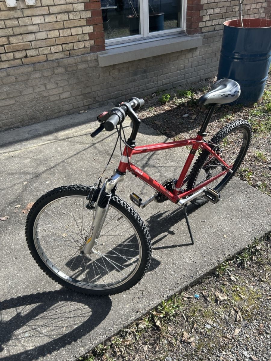 Aarios Biciclette: Kindervelo Aarios – Usato da Zürich venduto da pak73
