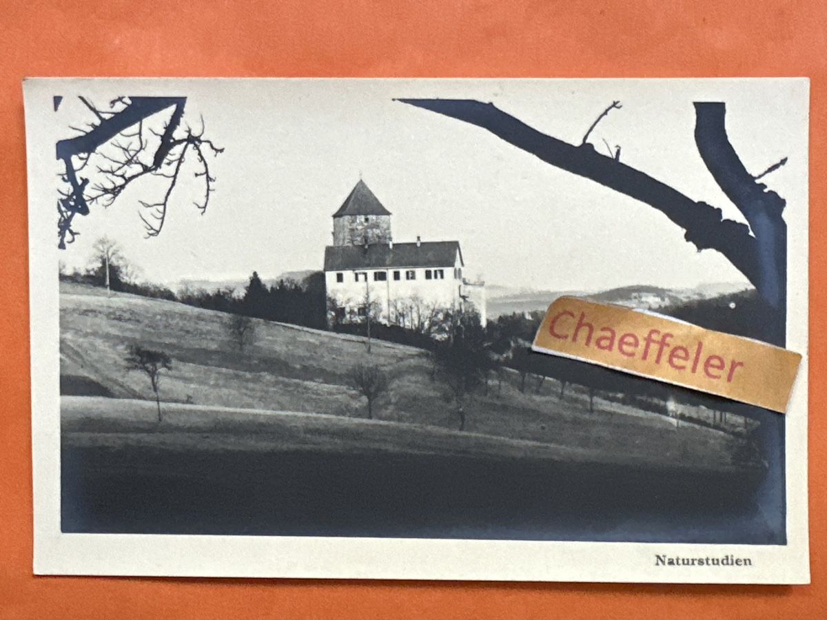 Cartoline postali: Naturstudien:  Schloss Herblingen – Usato da Zürich venduto da Chaeffeler