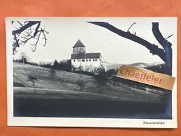 Naturstudien:  Schloss Herblingen