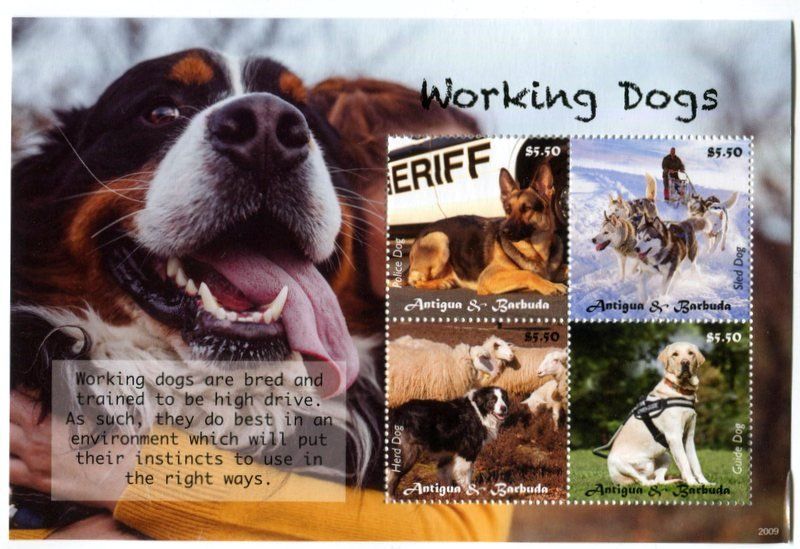 Tous les timbres: Block "Deutsche Schäferhund, Australian Shepherd". Antigua – Neuf avec emballage d'origine à Basel par Butsch5