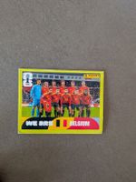 Panini Bild BEL 13