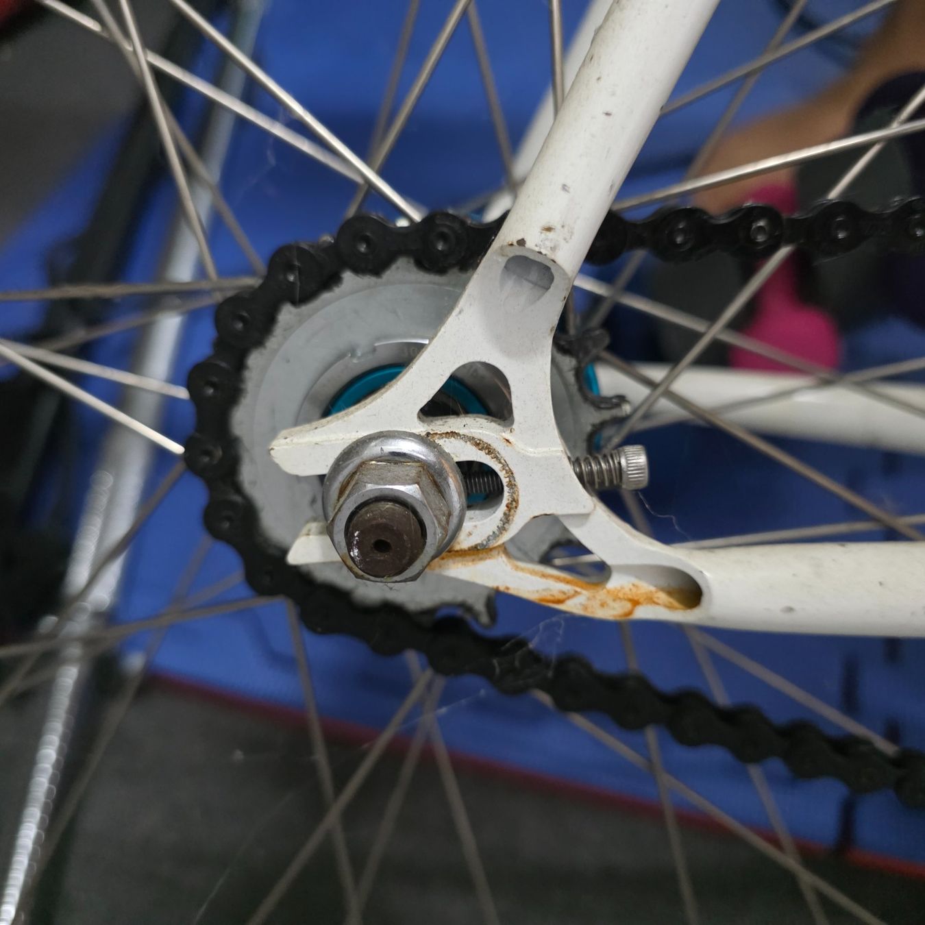 Biciclette: Fixie Velo – Usato da Romanshorn venduto da TigerKerstin 5