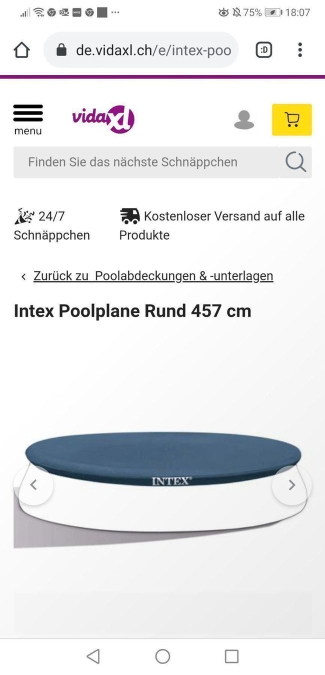 Intex Piscine: Intex pool Abdeckungplanne frame pool – Nuovo (secondo la descrizione) da Bichelsee venduto da Andi790