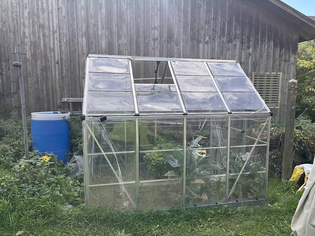 Casette da giardino & serre: Gewächshaus – Usato da Güttingen venduto da sab_vg9p