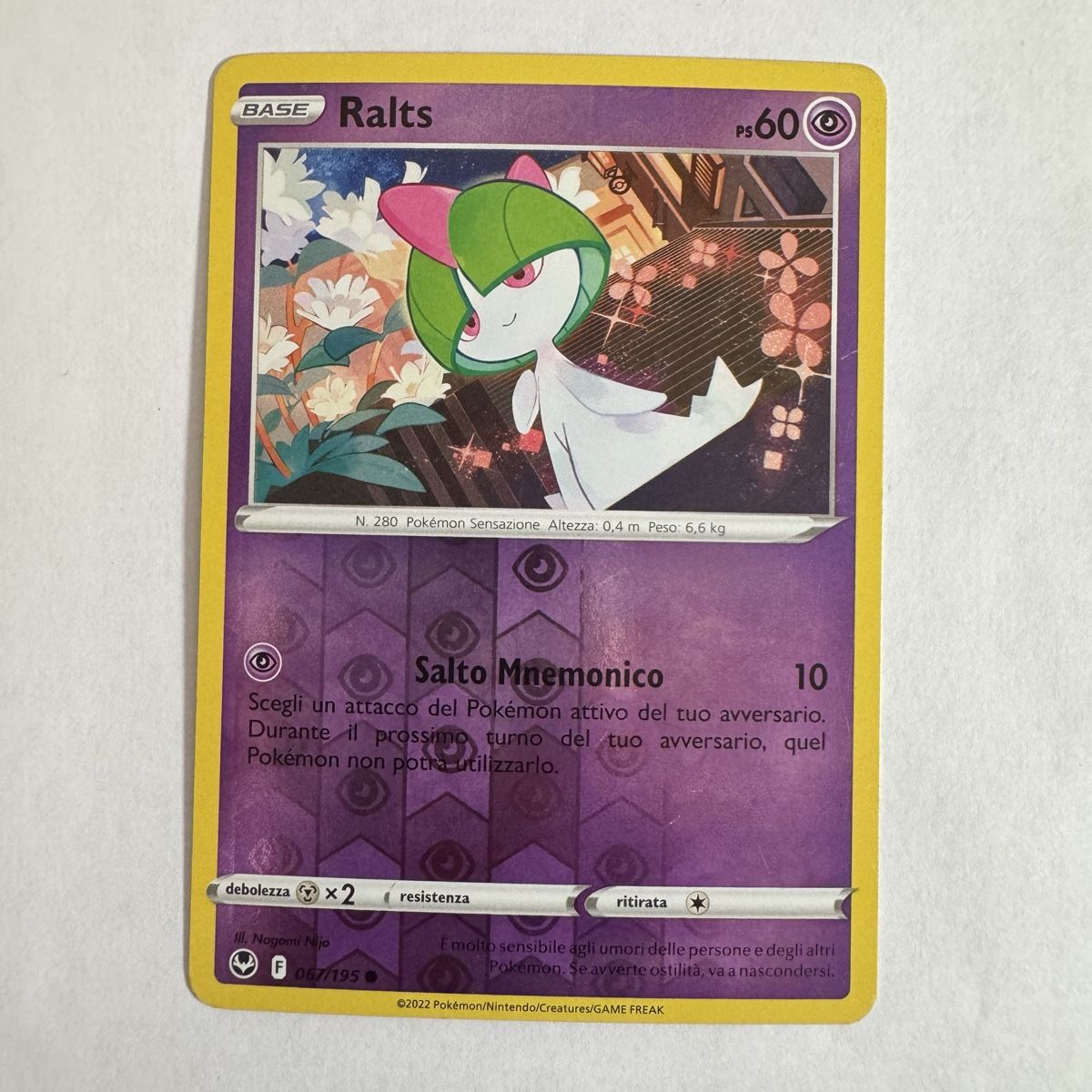 Pokémon Carte collezionabili: Pokémon Ralts - 67 / 195 - IT – Nuovo (secondo la descrizione) da Staad SG venduto da miaCards