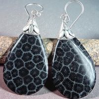 Unikat - wunderbare Korallen Ohrringe 925 Silber - NEU