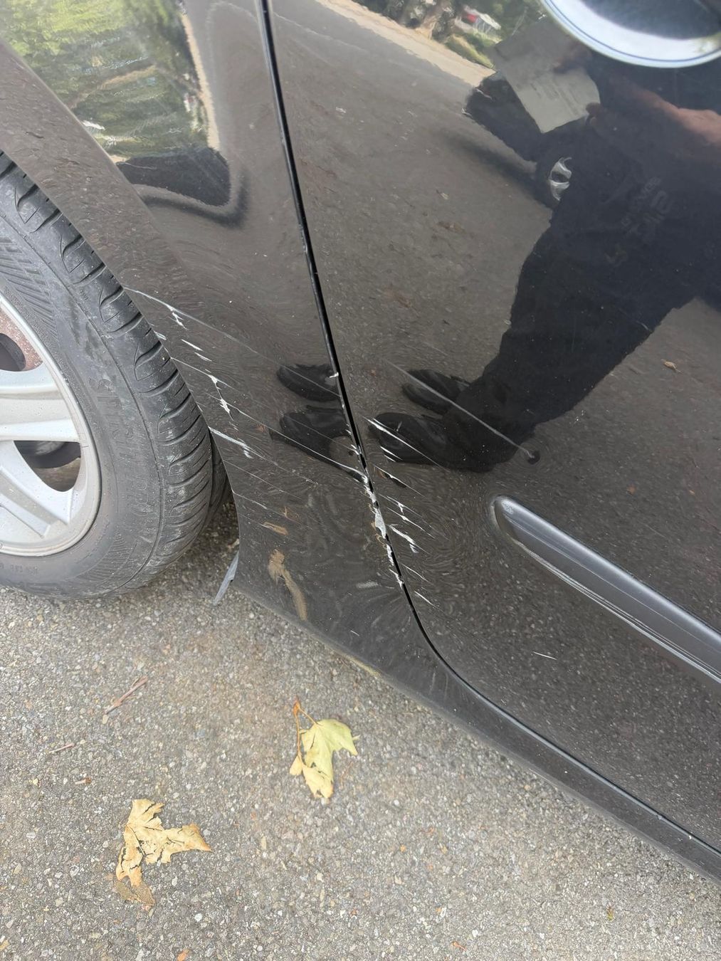Renault Automobili: Renault Modus 1.6 – Usato da Baden venduto da ron_s55q 8