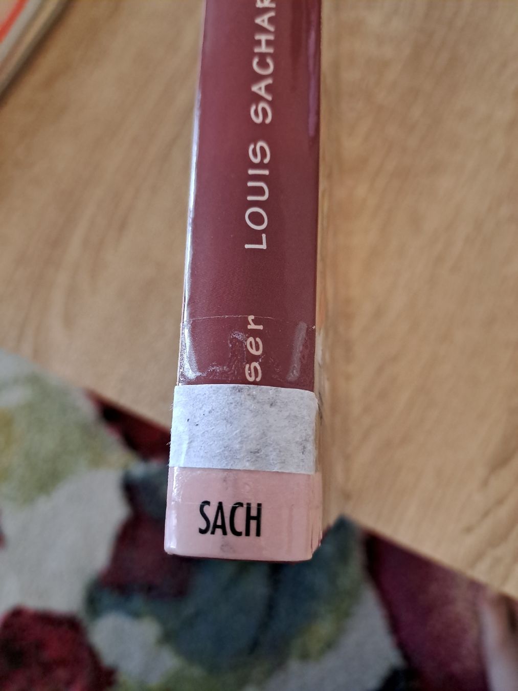 Libri: Bradley letzte Reihe, letzter Platz – Usato da Schötz venduto da chr_khn7 2