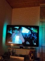Philipps TV  gross
