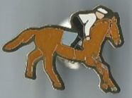 Pferderennen Reiter, Pin