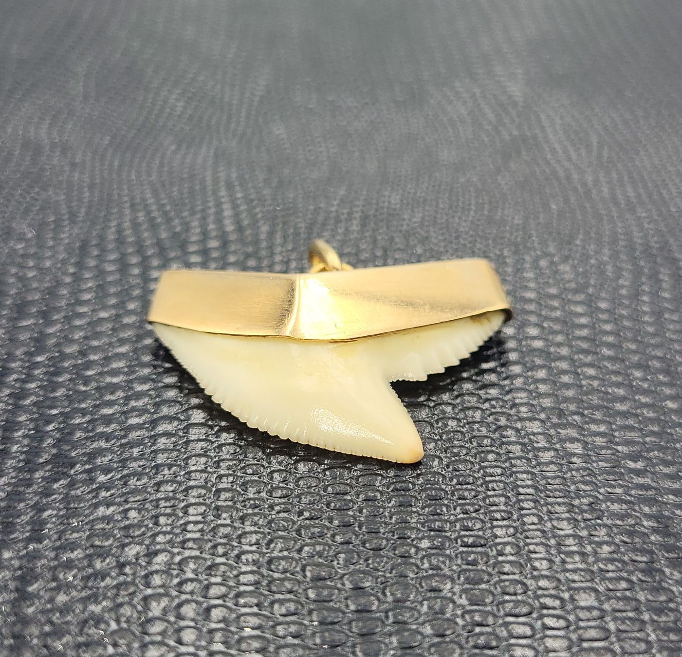Anhänger: Gold 585 Haizahn Anhänger – Gebraucht aus Wald ZH von Dasilver 7