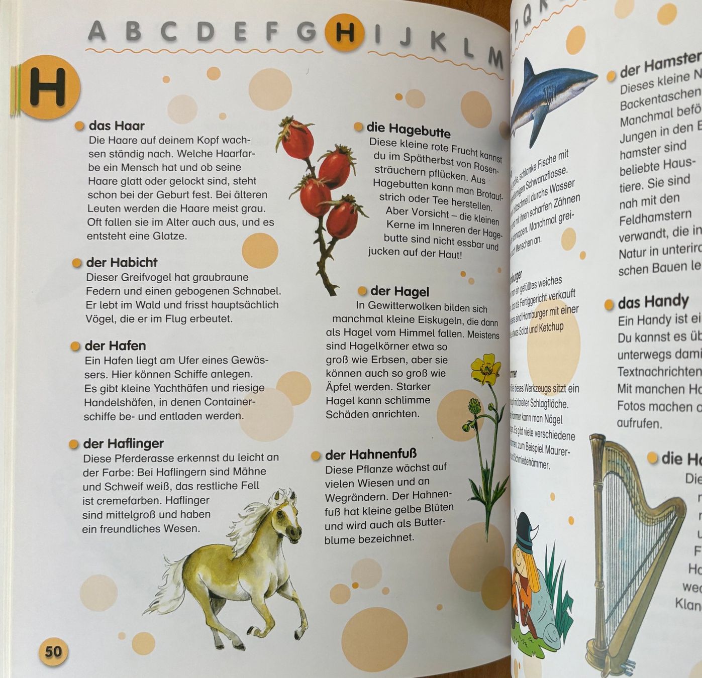 Libri: Wickie - Kinderlexikon – Nuovo (secondo la descrizione) da Sarnen venduto da Livres 4
