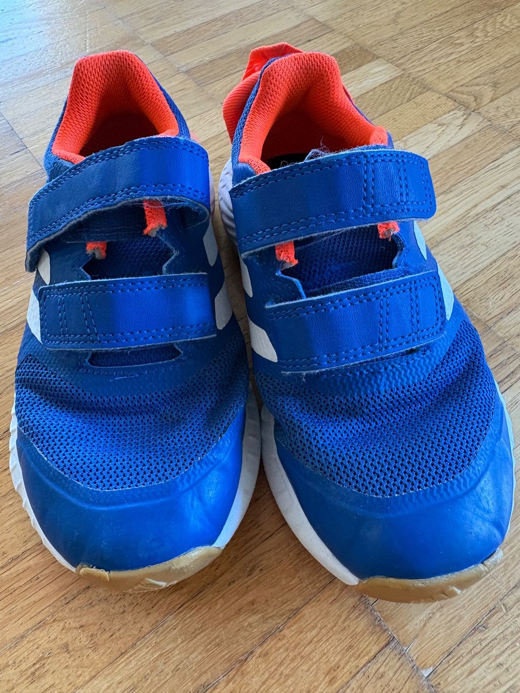 Adidas Chaussures garçon: Kinder Hallenschuhe Adidas – D'occasion à Luzern par ann_hq9y
