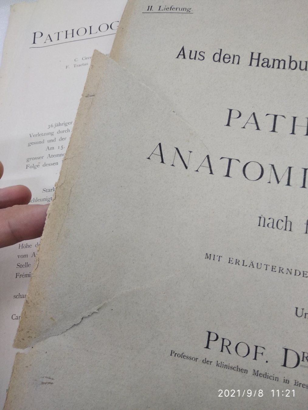 Libri: MEDIZIN - ANATOMIE - KAST - RUMPEL - P – Usato da Goldach venduto da Gaip 5