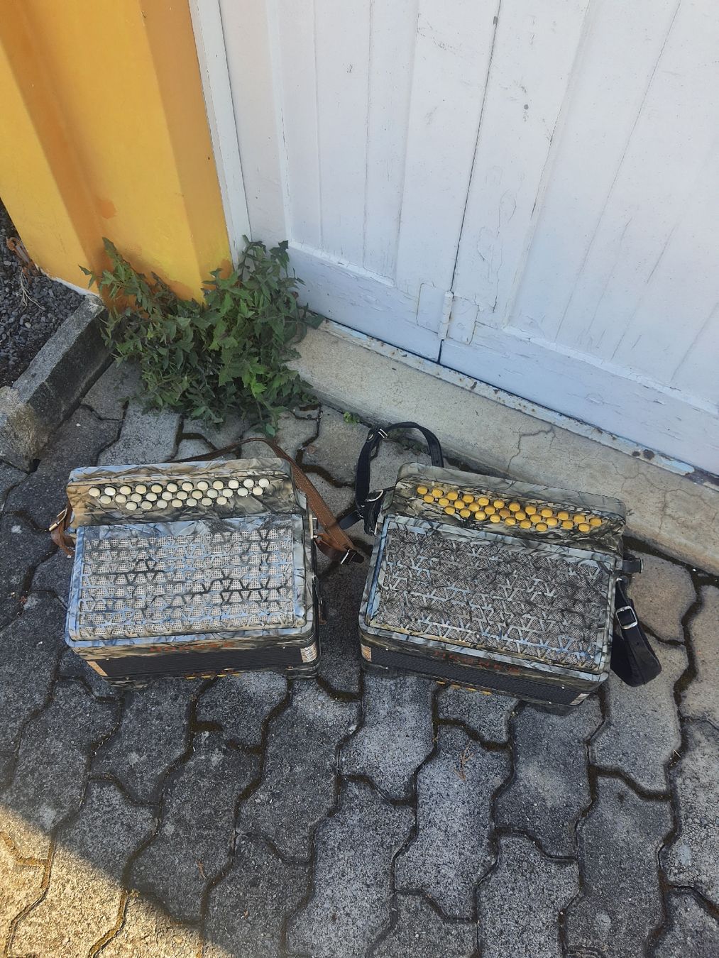 Hohner Strumenti musicali: 2 accordéons diatonique 8 basses hohner – Usato da Pont-de-la-Morge venduto da Mirabelle0 3