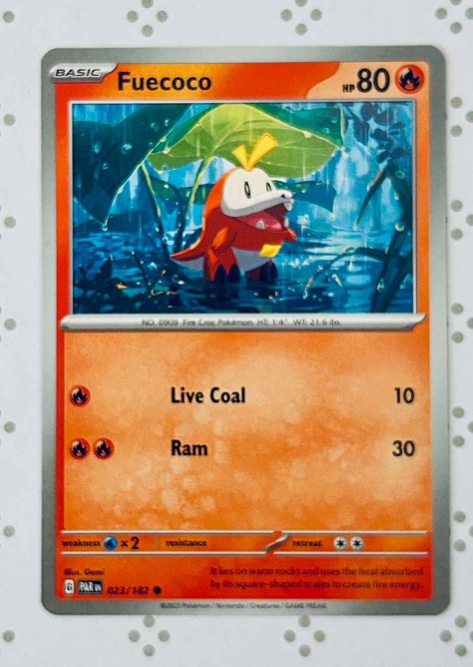 Pokémon Sammelbilder & Trading cards: Pokémon Sturm & Schnee-Bundle | 10 Karten, Gratisversand – Neu (gemäss Beschreibung) aus Gelterkinden von pikapikachu 9