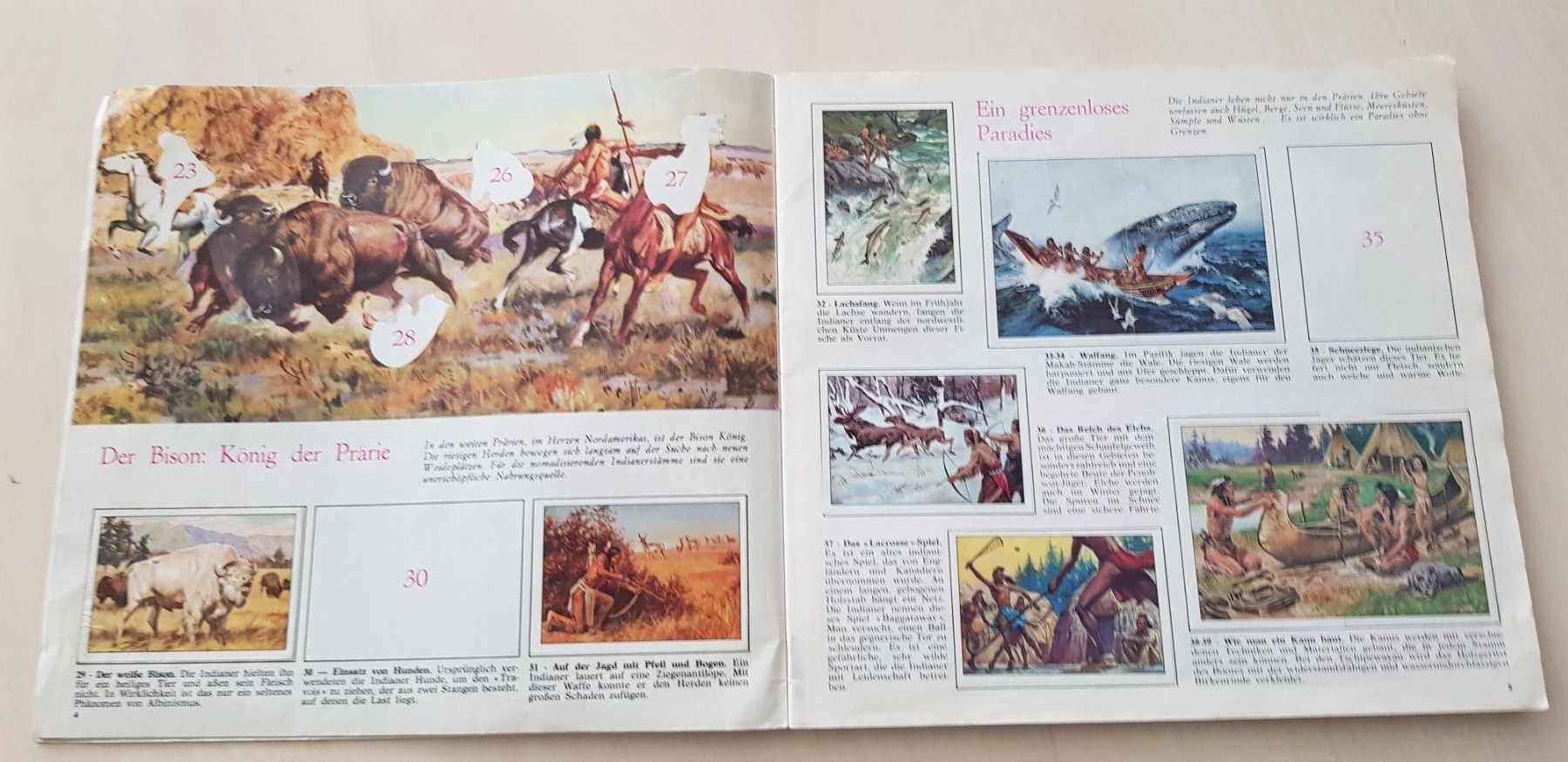 Bücher: Panini Album  WEST – Gebraucht aus Nürensdorf von spartacus64 3