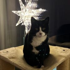 Profile image of Merlin.65
