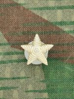 Stern für Schulterstück, 13 mm