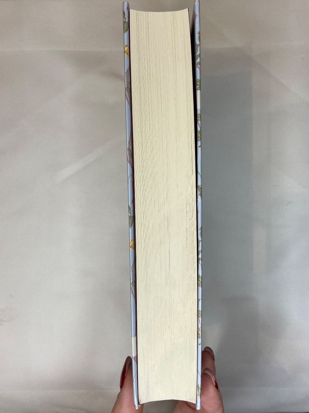 Libri: Dornentöchter - Josephine Pennicott – Usato da Zürich venduto da dedasiba 2