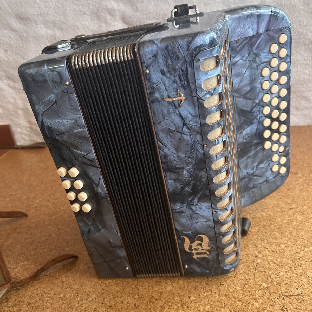Strumenti musicali: Bachenbülach Akkordeon TELL blau – Usato da Laufen venduto da belleskulptur