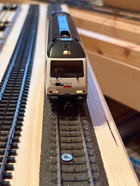 Hag Modellini di ferrovie: HAG Re 460 H0 WS Digital mfx HCB – Usato da Regensdorf venduto da Basc 5