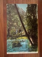 AK    1912 Blausee selten   (G3091)