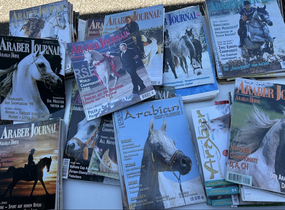 Riviste & Magazine: Araber Pferde Zeitschrift Sammlung – Usato da Rickenbach ZH venduto da nathifa