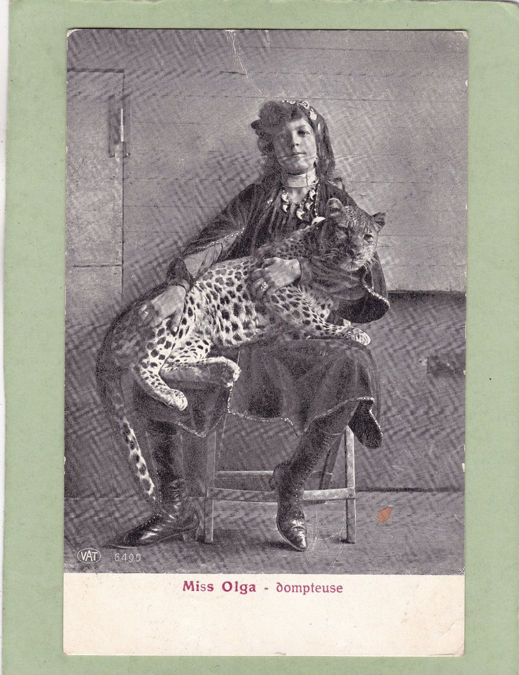 Cartoline postali: Miss Olga Dompteuse – Usato da Herisau venduto da Lisegrat2008