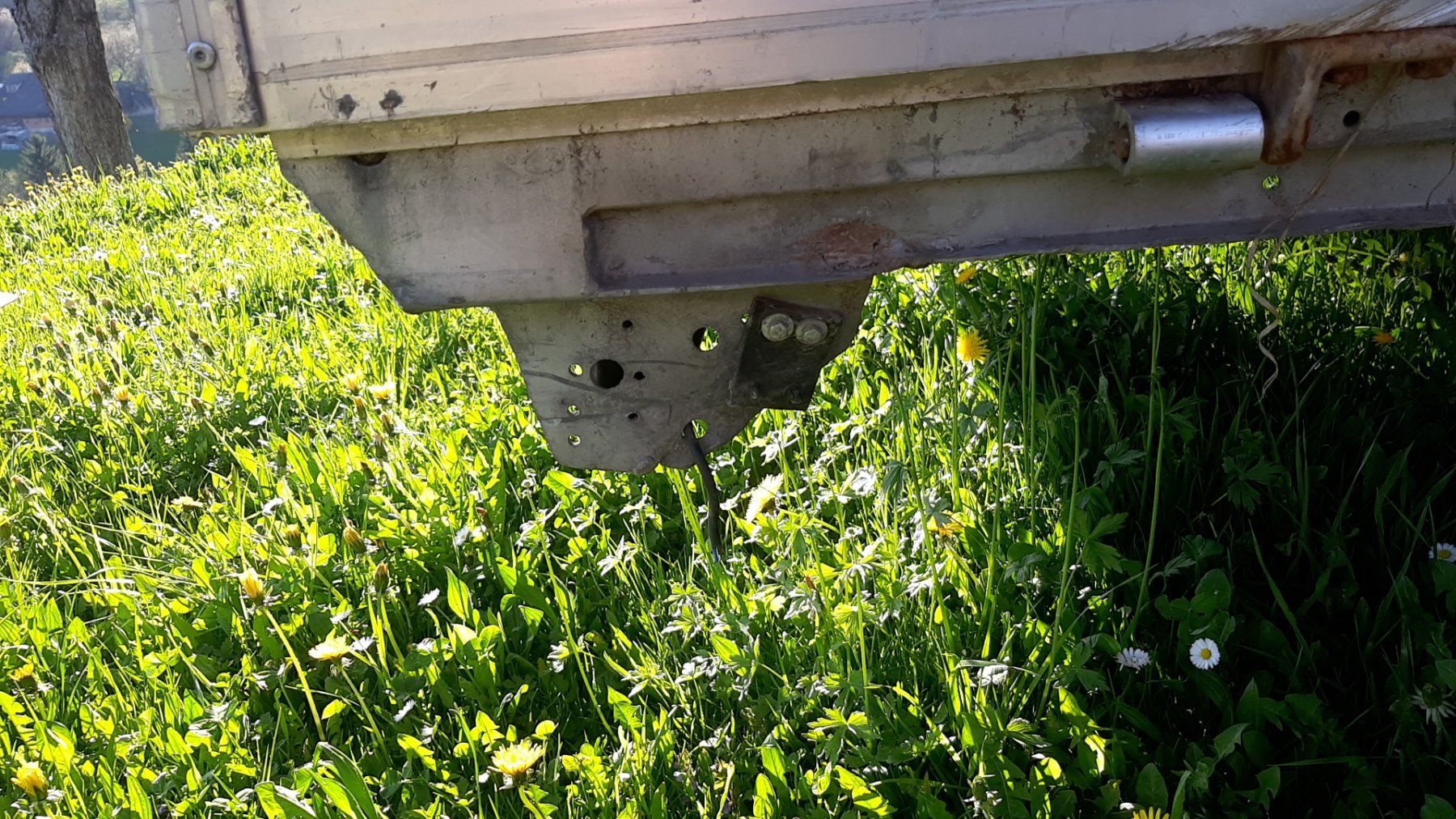 Tanner Rimorchi: Anhänger Tanner 3500kg – Usato da Grengiols venduto da sas122 1