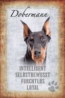 Blechschild-STECKBRIEF-DOBERMANN