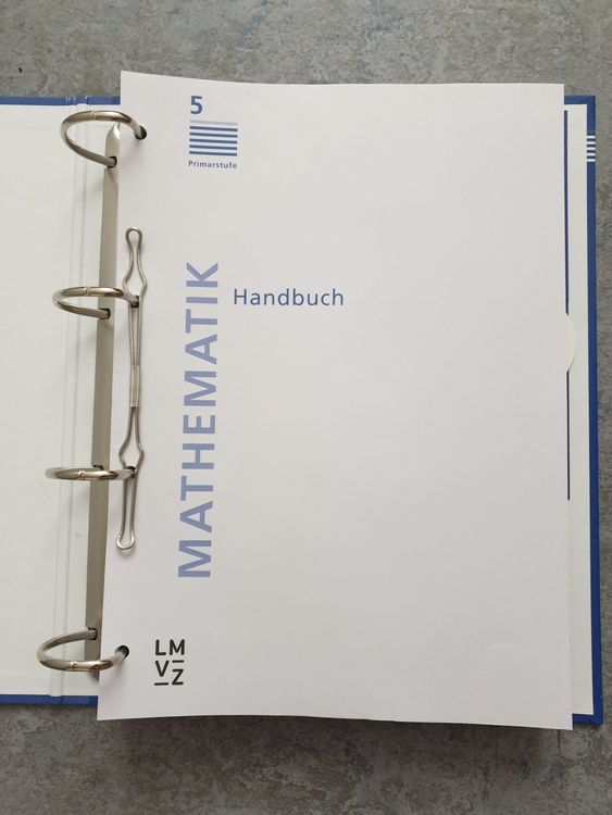 LMVZ Mathematik Primarstufe 5.Klasse - Handbuch | Kaufen Auf Ricardo