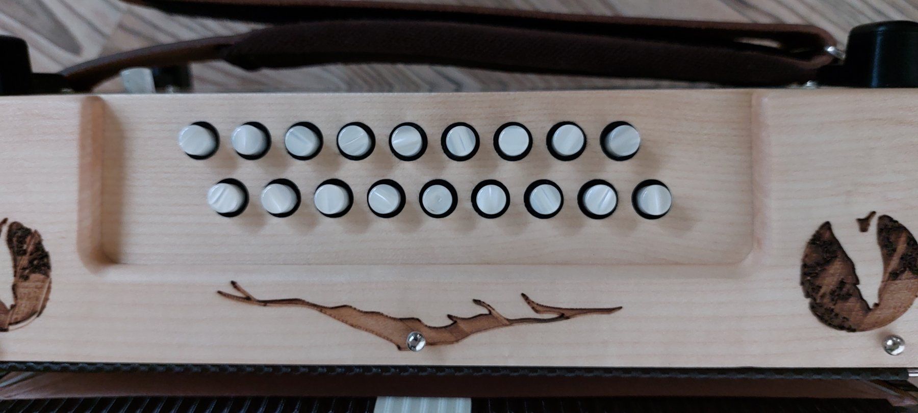 Strumenti musicali: Accordéon chromatique Nikkis neuf – Nuovo (secondo la descrizione) da Ipsach venduto da solune 5