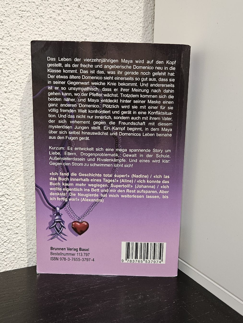 Libri: Bücherreihe Maya und Domenico – Usato da Buttisholz venduto da craftergirl 3