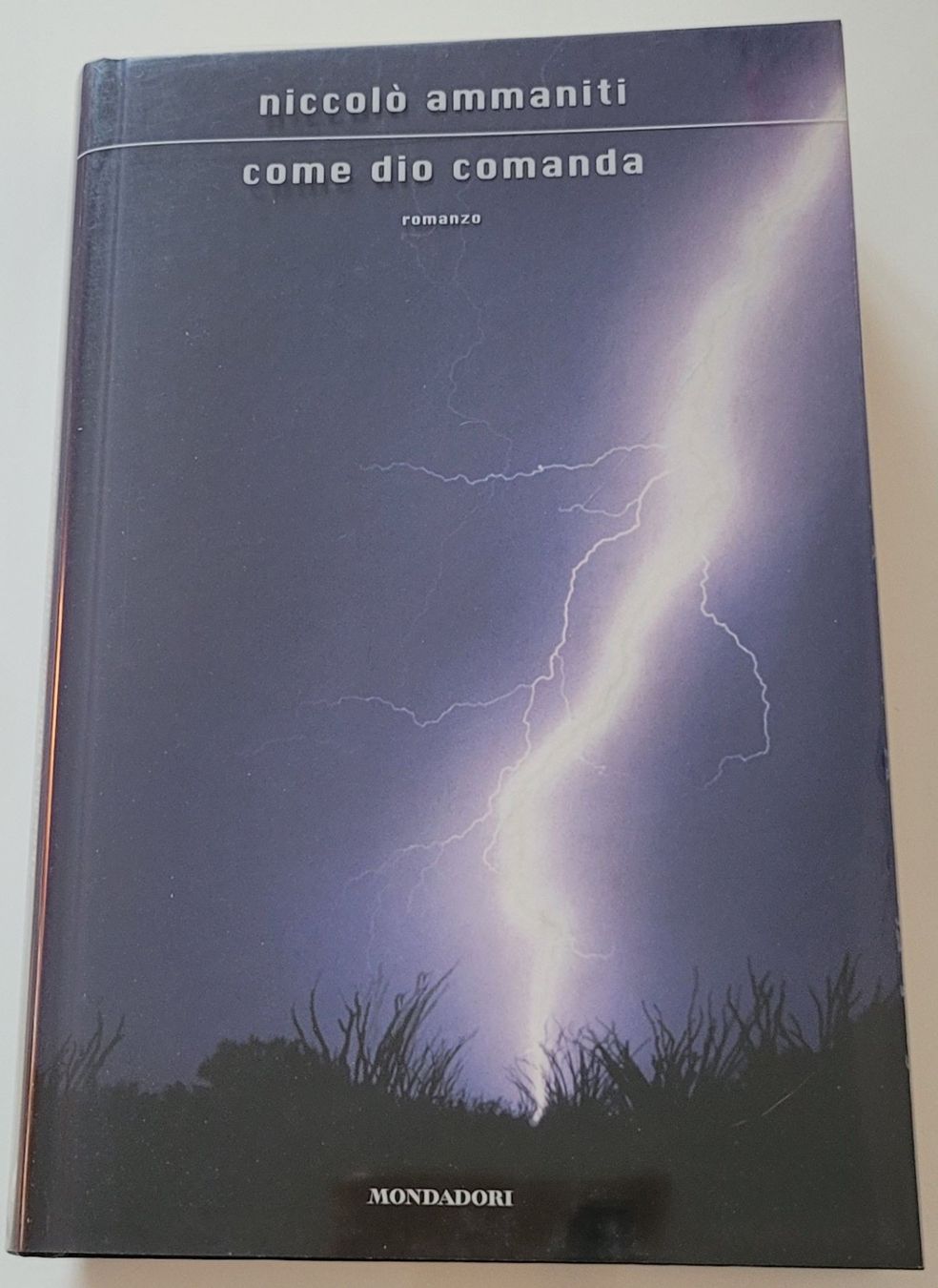 Libri: Niccolò Ammaniti - Come Dio comanda – Usato da Zürich venduto da fourpaws 1