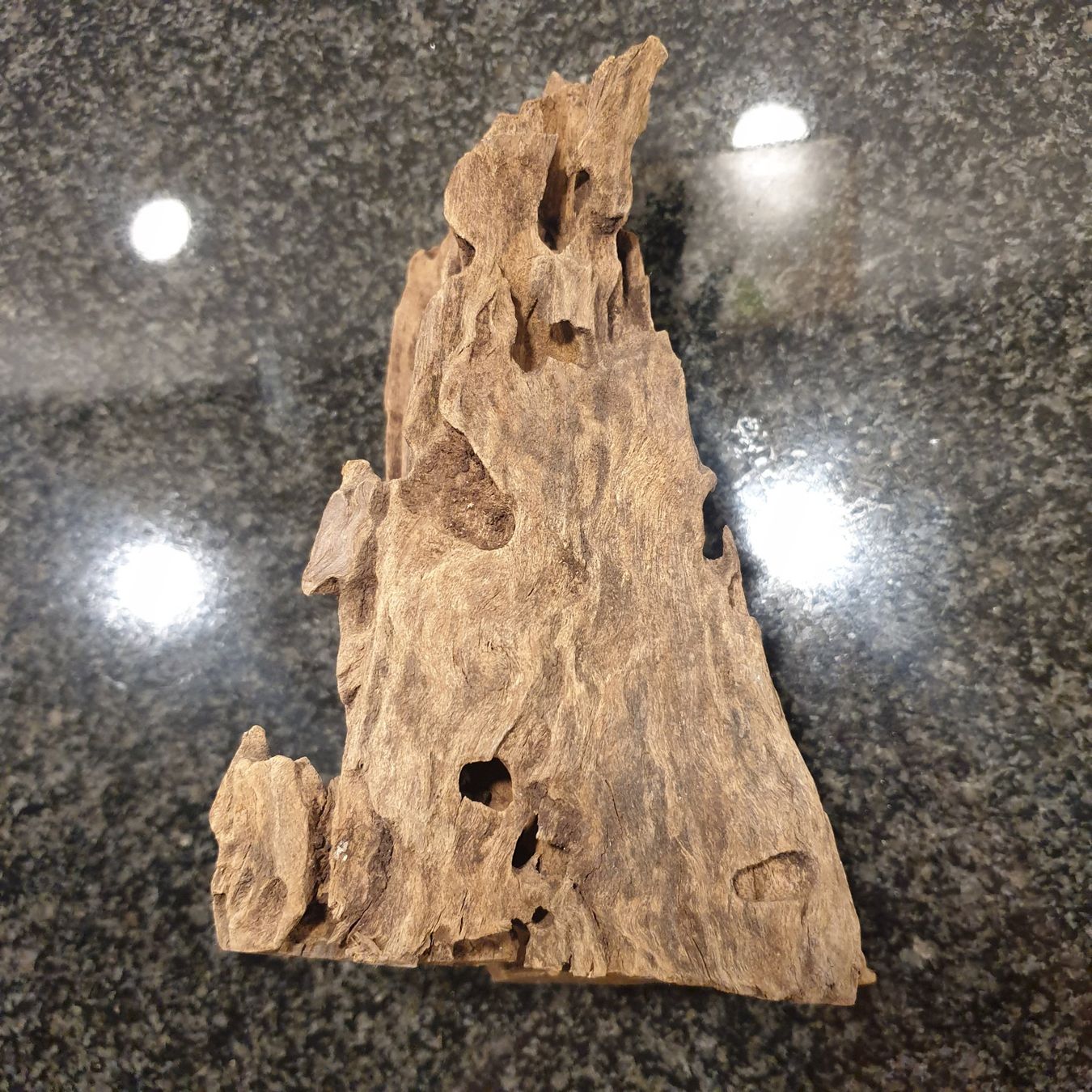 Articles en bois: Holzwurzel Aquarium- / Terrariendeko, 21x13cm, 819g – D'occasion à Neuendorf par DeSiriA 6