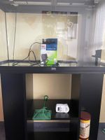 Aquarium mit Gestell