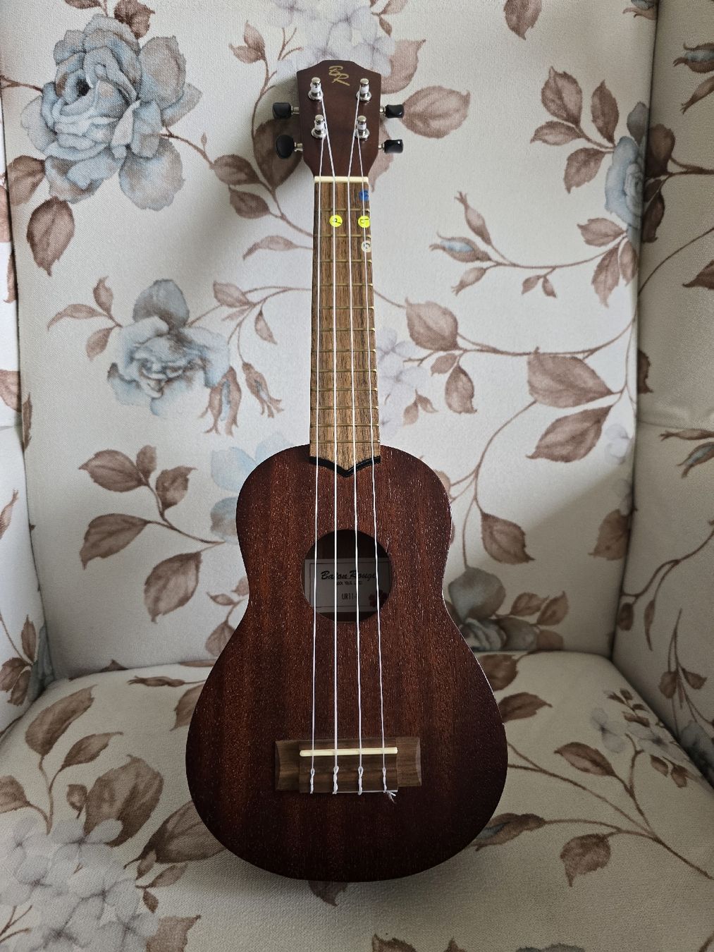 Instruments de musique: Ukulele – D'occasion à Winterthur par Peykk