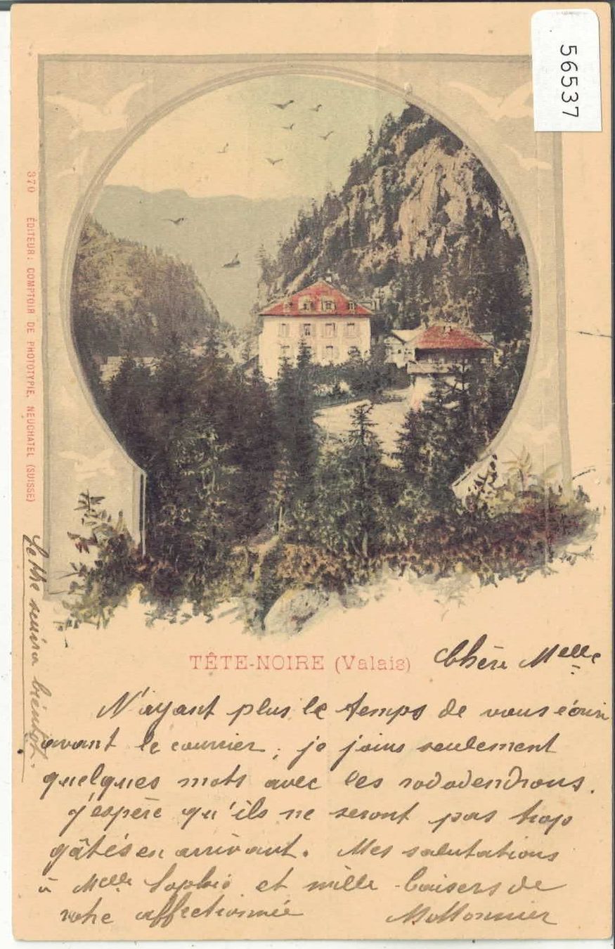 Ansichtskarten: Tete-Noire - Hotel - coloriert – Gebraucht aus Ettingen von Kartenplanet