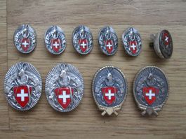 10 SAC Abzeichen