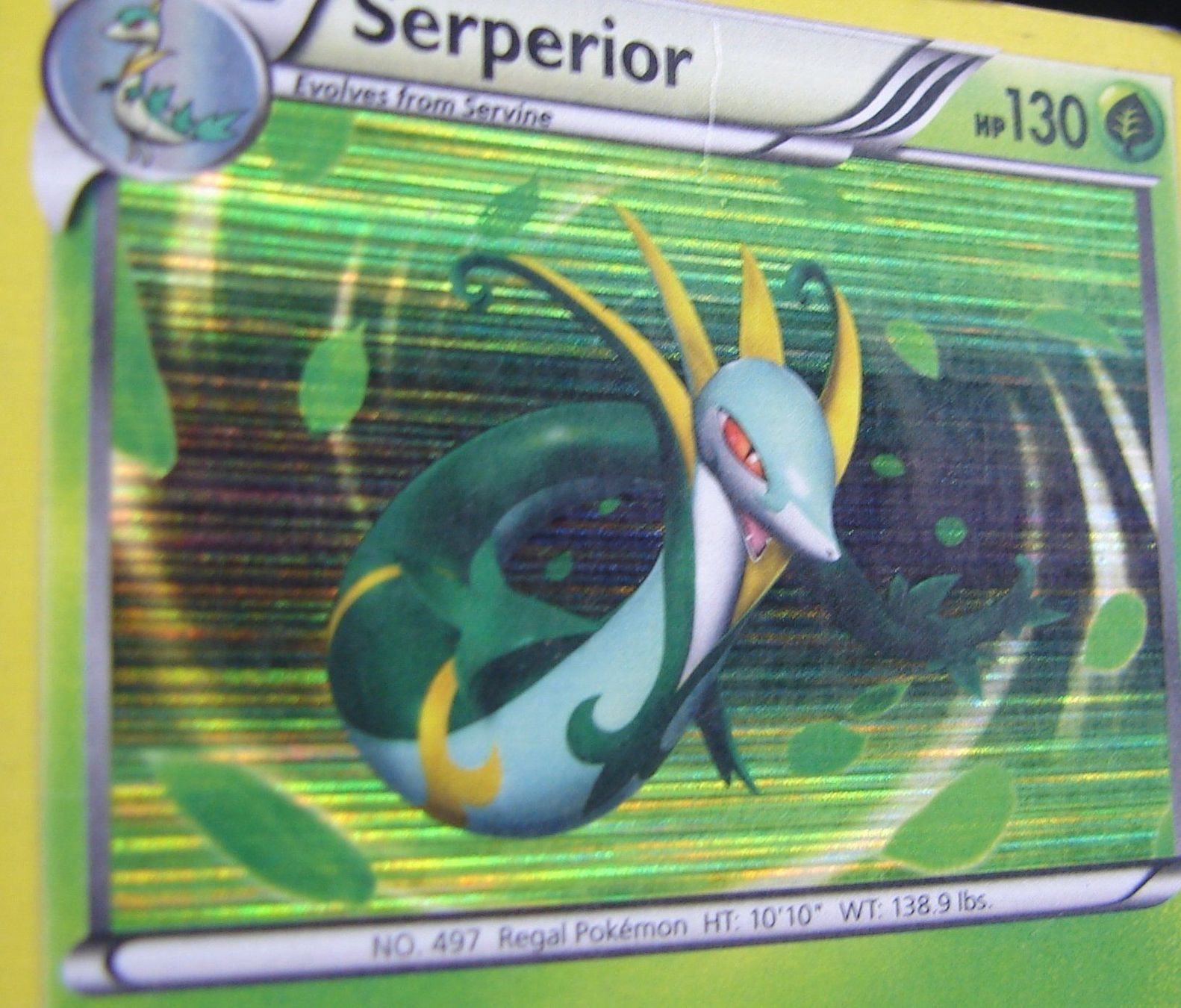Pokémon Carte collezionabili: Serperior Promo Holo                /163 – Usato da Rümlang venduto da coh_87ww 2