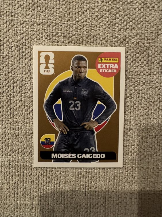 Panini Extra Sticker Moisés Caicedo (Neu (gemäss Beschreibung)) in ...