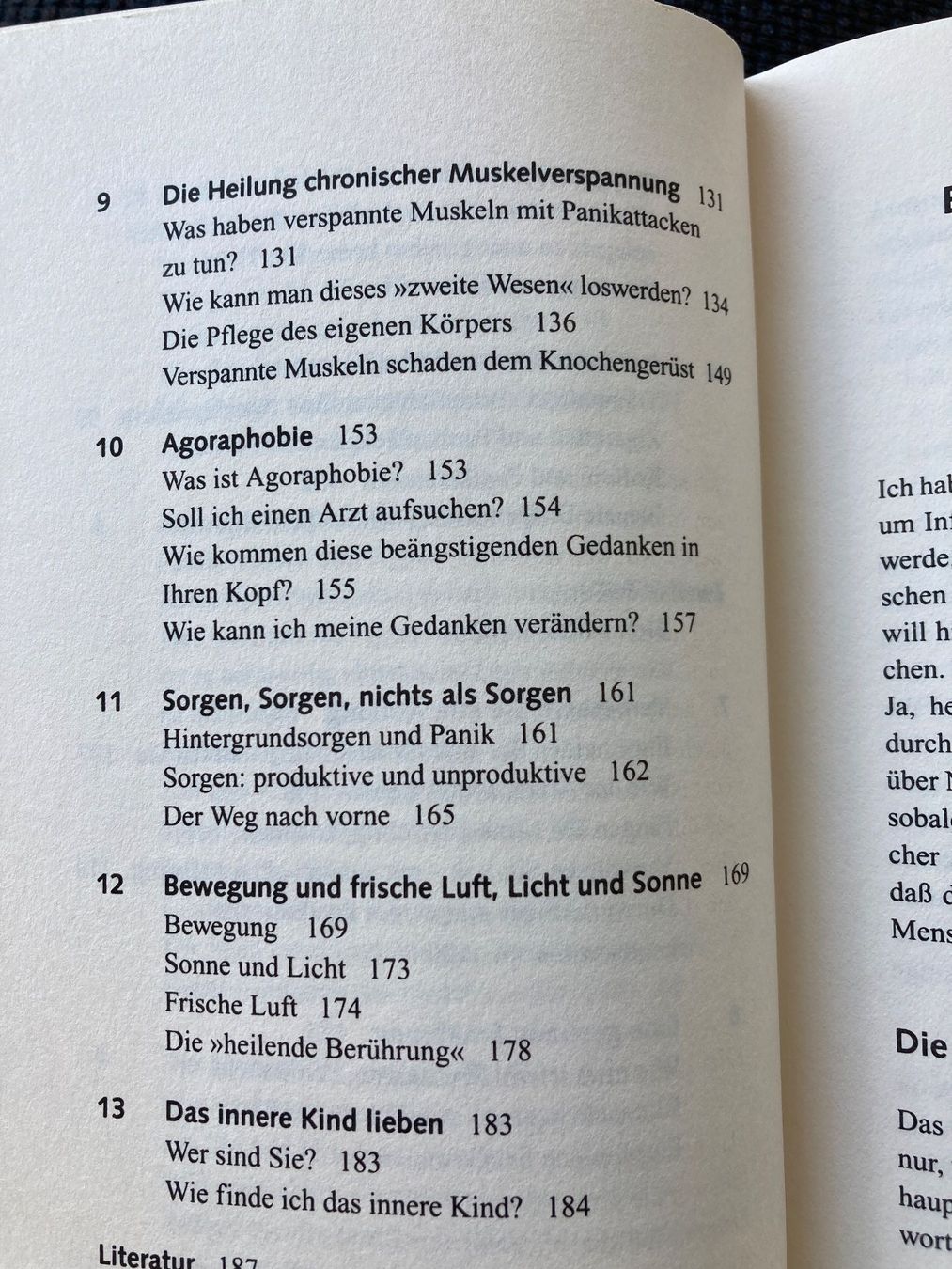 Bücher: Angstzustände und Panikattacken erfolgreich meistern – Gebraucht aus Baden von Yoyo1 3