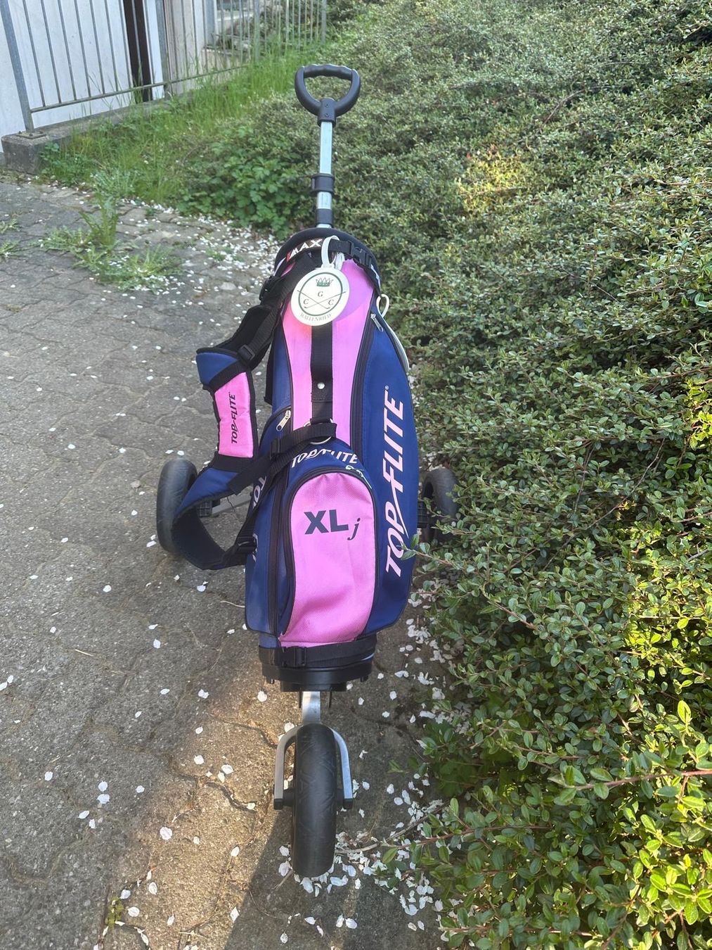 Trolley: Top Elite XL Golf Cart/Trolley – Usato da Moosseedorf venduto da ram_c65w 4