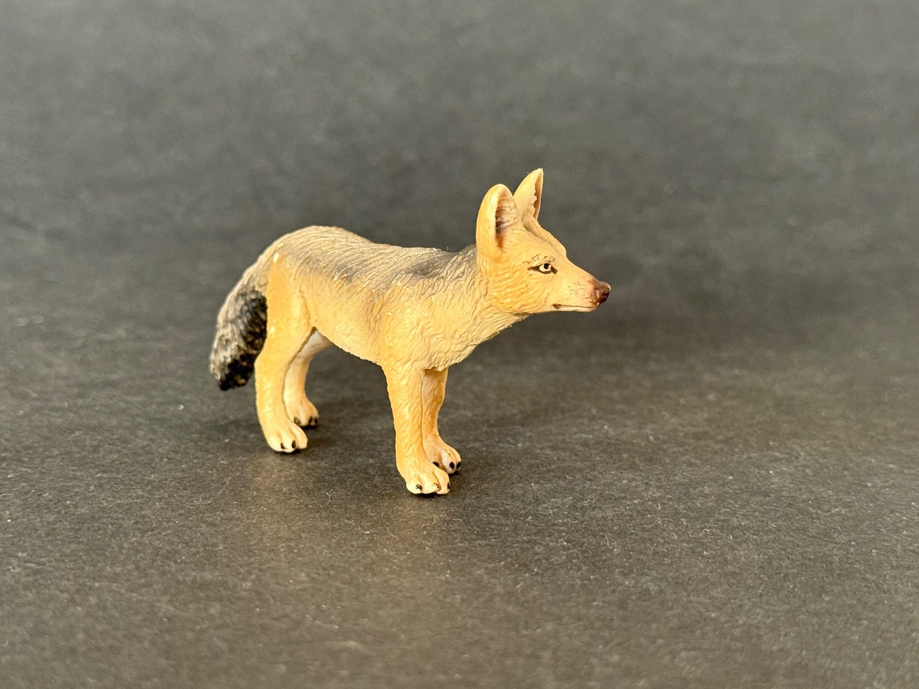 Schleich Statuette: Schleich - Schakal 14345 – Usato da Ennetbaden venduto da mapa05 4