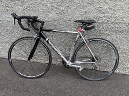 Gepflegtes Wheeler Rennrad zu verkaufen